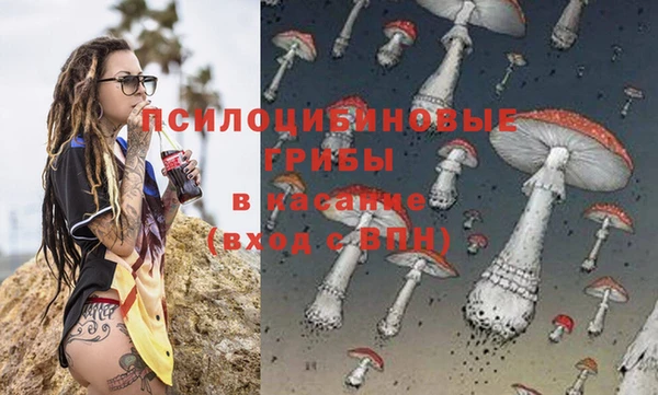 хмурый Балабаново