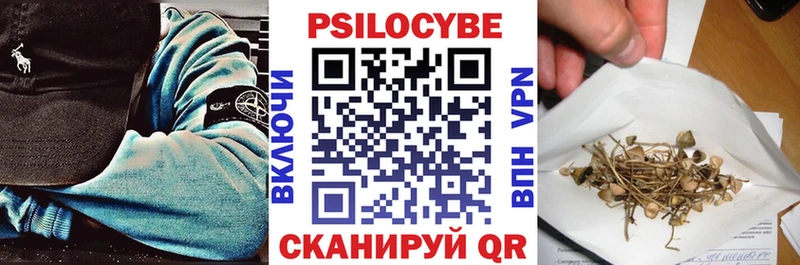Псилоцибиновые грибы Magic Shrooms  Купить закладки  Вяземский 